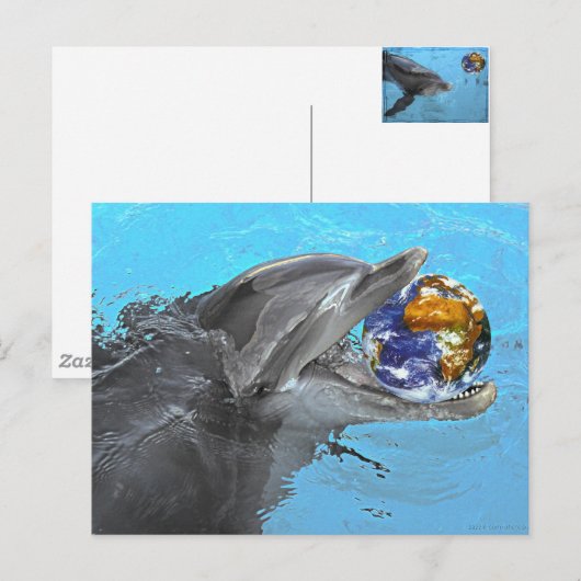 2 verschillende dolfijnen op dit briefkaart (Voorkant / Achterkant)