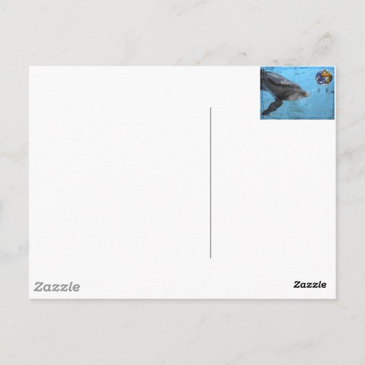 2 verschillende dolfijnen op dit briefkaart (Achterkant)
