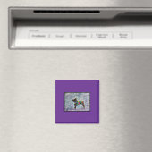 2" Vierkante magneet met Boxer (Insitu (Vaatwasser))