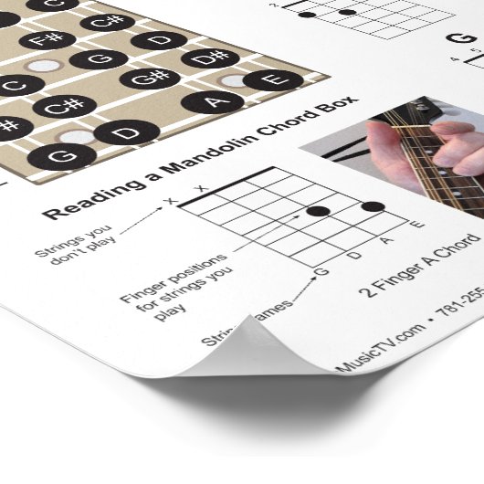 2 Vinger Mandolin Chords en Fretboard Poster (Hoek)