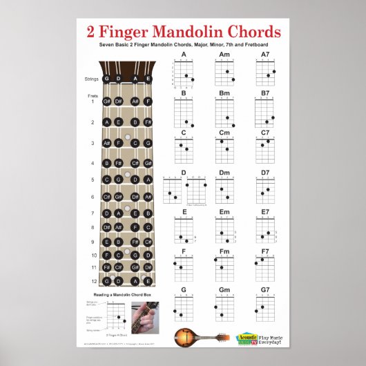 2 Vinger Mandolin Chords en Fretboard Poster (Voorkant)