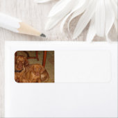 2 vizsla's etiket (Insitu)
