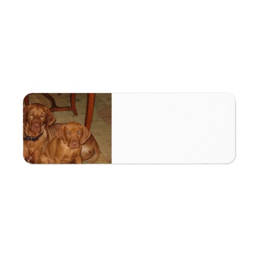 2 vizsla's etiket (Voorkant)
