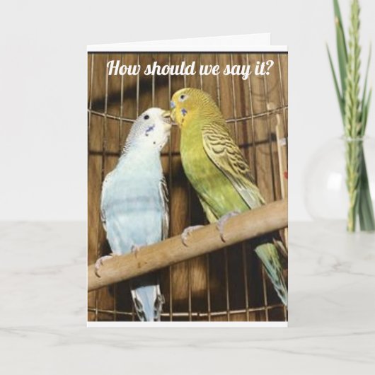 2 VOGELS VAN EEN VERDER ZEGGEN "HAPPY BIRTHDAY" KAART (Voorkant)