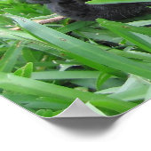 2 Vrenchies in het gras Poster (Hoek)