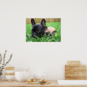 2 Vrenchies in het gras Poster (Keuken)