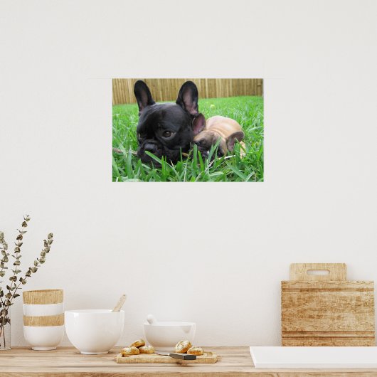 2 Vrenchies in het gras Poster (Keuken)