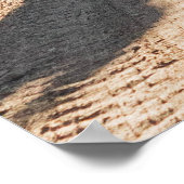 2 vrouwen lopen op weg tussen bomen in de morni poster (Hoek)