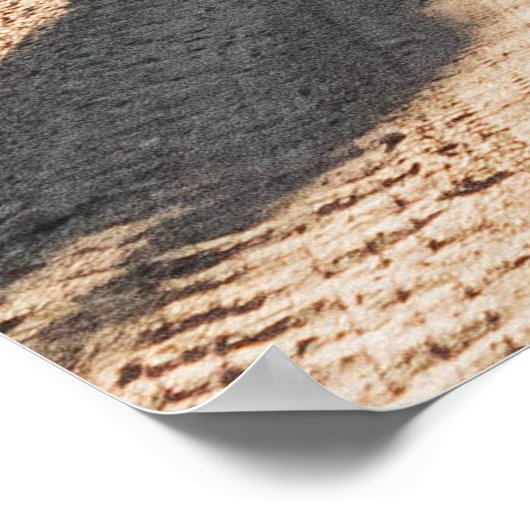 2 vrouwen lopen op weg tussen bomen in de morni poster (Hoek)