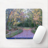 2 wegen muismat (Met muis)