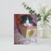 2 weken kitten briefkaart (Staand voorkant)