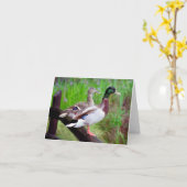 2 wilde eenden op een Kaart van de Nota van de (Gele Bloem)