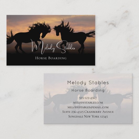 2 Wilde paarden Silhouette-foto Visitekaartje (Voorkant / Achterkant)