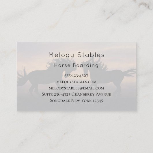 2 Wilde paarden Silhouette-foto Visitekaartje (Achterkant)