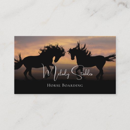 2 Wilde paarden Silhouette-foto Visitekaartje (Voorkant)