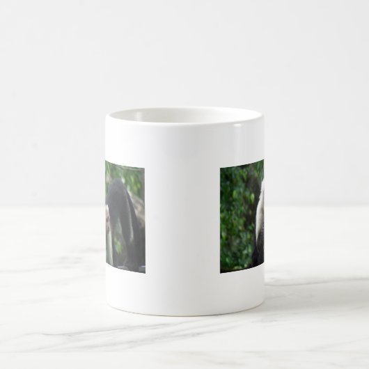 2 Witte gezicht Capuchin apen Koffiemok (Center)