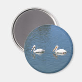 2 witte pelikans magnet (Voorkant / Achterkant)