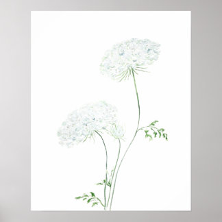 2 witte schilderij van koningin Ann Lace waterverf Poster