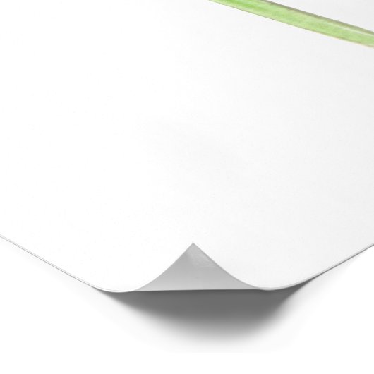 2 witte waterverf poster (Hoek)