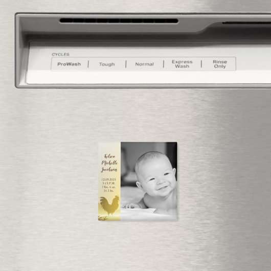 2 "x2" Geboortekaartmagneet Sunny Morning Boerderi Magneet (Insitu (Vaatwasser))