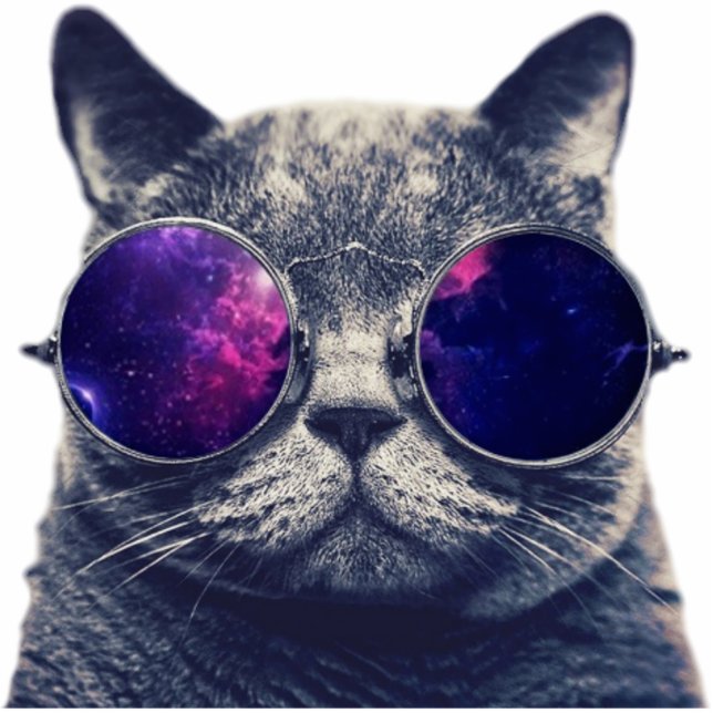 2 x 3-inch magneet fotobeeldje magneet (Voorkant)