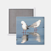 2 zeemlekken op een strand magneet (Voorkant / Achterkant)