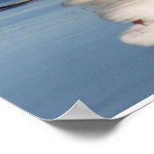 2 zeemlekken op een strand poster (Hoek)