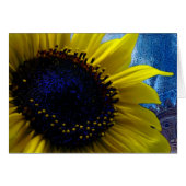 2 Zonnezon (Voorkant Horizontaal)