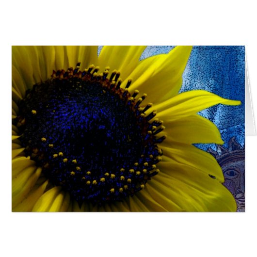 2 Zonnezon (Voorkant Horizontaal)