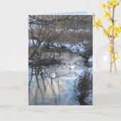 2 zwanen in de Winter Kaart (Gele Bloem)