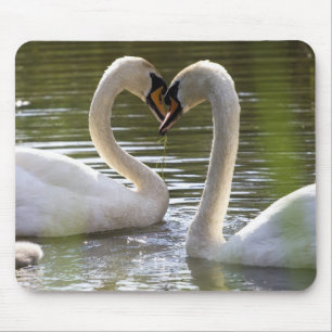2 Zwans op het water Muismat