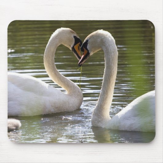 2 Zwans op het water Muismat (Voorkant)