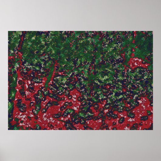 2b004 AUTUMNfoliagedifcanvasartb- Poster (Voorkant)