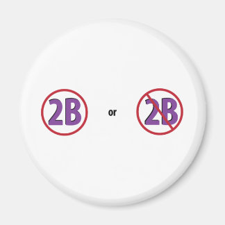 2B MAGNEET