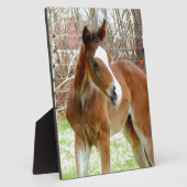 2CUTE HORSE FOAL BABY PONY FOTOPLAAT (Zijkant)