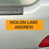 2de amendement NY MOLON LABE Bumpersticker (Op auto)