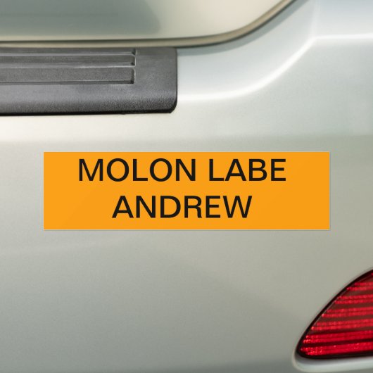 2de amendement NY MOLON LABE Bumpersticker (Op auto)