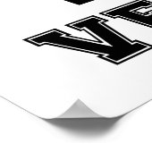 2e AD Vet - College Style Poster (Hoek)