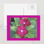 2e Briefkaart (Voorkant / Achterkant)