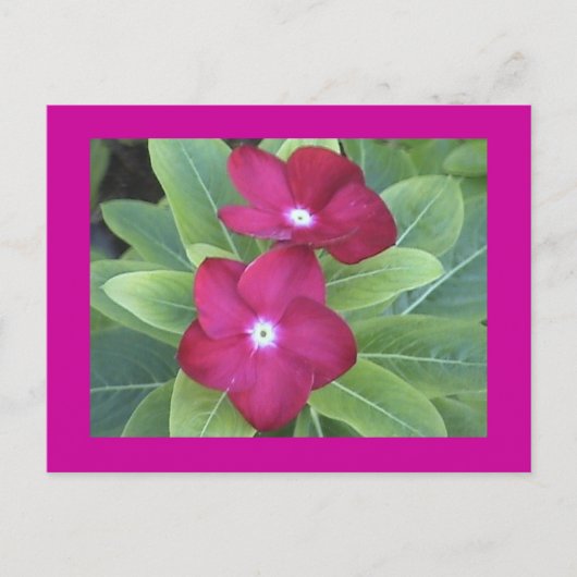 2e Briefkaart (Voorkant)