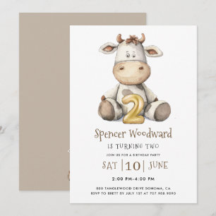 2e verjaardag Party Boy Kaart