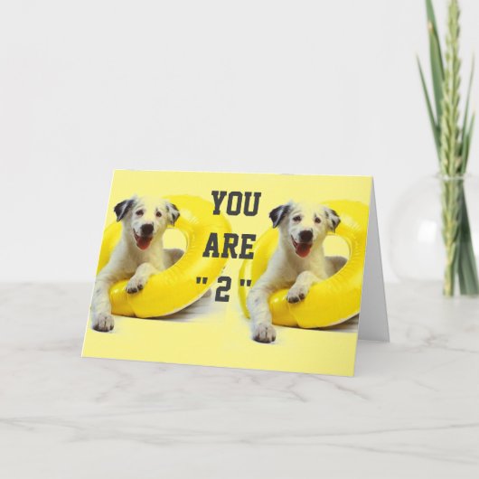 "2e VERJAARDAG" VOL PLEZIER EN KUSJES, OOK! Kaart (Voorkant)