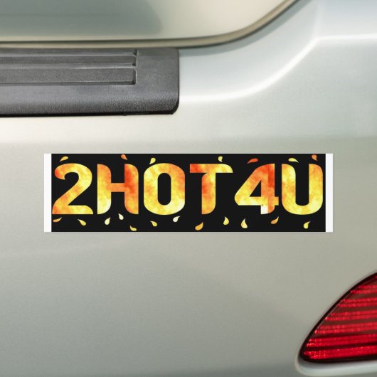 2HOT4U BUMPERSTICKER (Op auto)