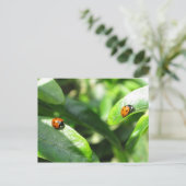 2ladybirdspostcard briefkaart (Staand voorkant)