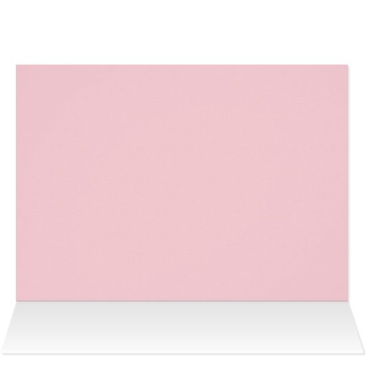 2MICHIGAN HEART WINTER BOSSEN (Binnen Horizontaal (Boven))