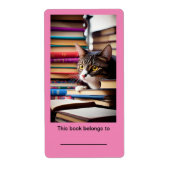 2x3 3/4" Bookplate (ex libris) Leuke Cat Stickers (Voorkant)