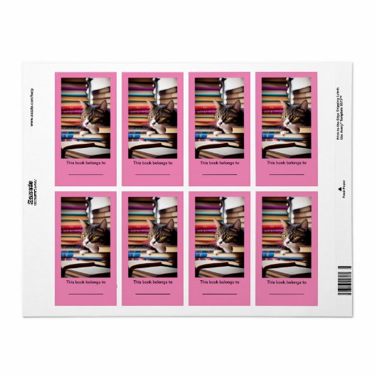 2x3 3/4" Bookplate (ex libris) Leuke Cat Stickers (Full Sheet)