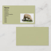 300_2A0019 SCHAPENLAMB Graasdieren Visitekaartje (Voorkant / Achterkant)