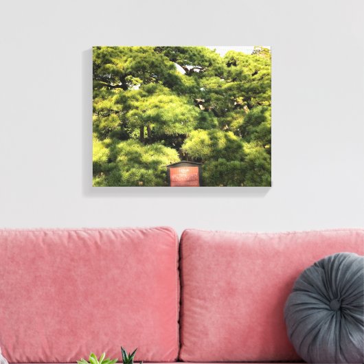 300 jaar oude dennenbomen canvas afdruk (Insitu (Woonkamer))