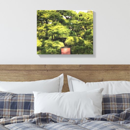 300 jaar oude dennenbomen canvas afdruk (Insitu (Slaapkamer))